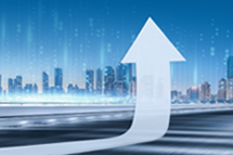 PA真人国际国际2024上半年营收同比增逾16% ，国内业务成增长亮点