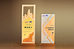 PA真人国际国际一举斩获“2024年度中国区最佳雇主”等多项大奖