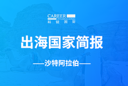 PA真人国际GO GLOBAL | 沙特阿拉伯国家简报